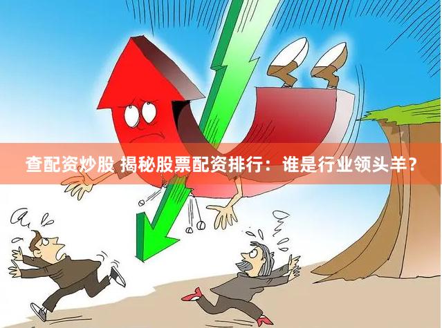 查配资炒股 揭秘股票配资排行：谁是行业领头羊？