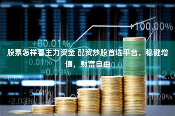 股票怎样看主力资金 配资炒股首选平台，稳健增值，财富自由
