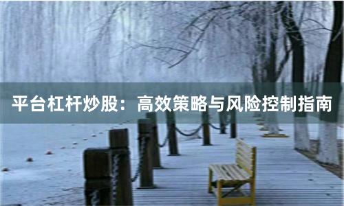 平台杠杆炒股：高效策略与风险控制指南