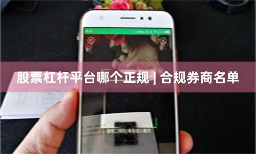 股票杠杆平台哪个正规 | 合规券商名单