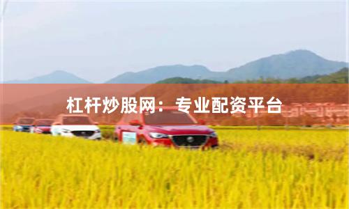 杠杆炒股网：专业配资平台